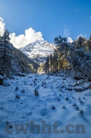 国产麻豆剧果冻传媒白晶晶-非凡诱惑，国产麻豆剧中的白晶晶与果冻传媒的魅力剖析