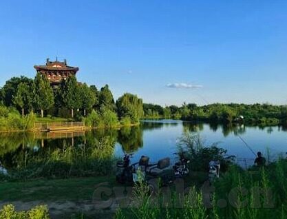 猫扑视频麻豆-猫扑视频与麻豆，搭建虚拟与现实的交互桥梁