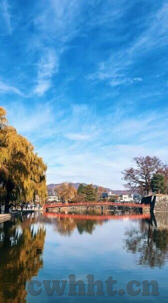 日本免费一区二区三区视频-探索网络文化的多元视角，日本视频内容的文化现象与影响