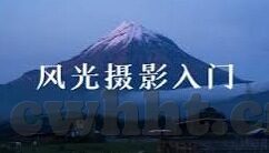 糖心柯德官网-探索糖心柯德官网的奇妙之旅，创意与科技的完美融合
