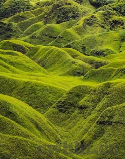 网站麻豆视频-文 案 策，浅谈网站麻豆视频的独特魅力与未来方向