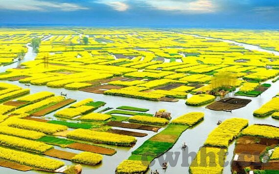 在线免费观看麻豆av-珍视信息，和浏览网络资源中的健康选择——探究在线观影的多样平台的现实